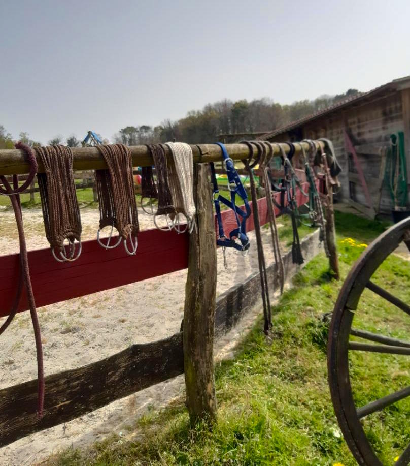 Activité équitation - Le Ranch de Calamity Jane, gite insolite dans le morbihan 56