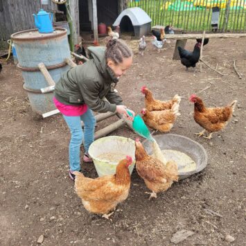 animaux du ranch de calamity jane