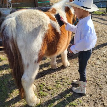 brossage - ranch de calamity jane